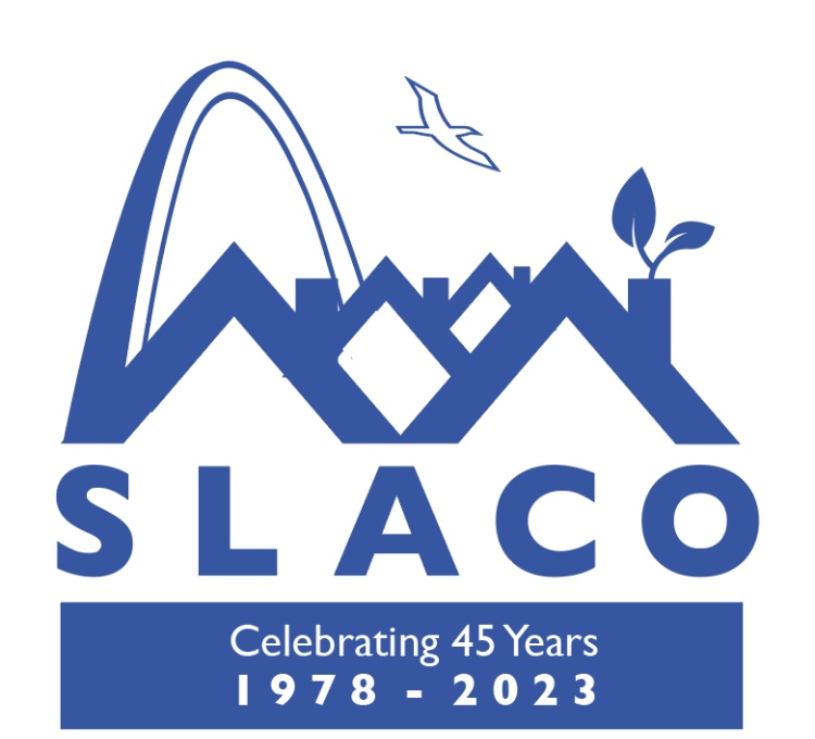 45 Anniversary Logo