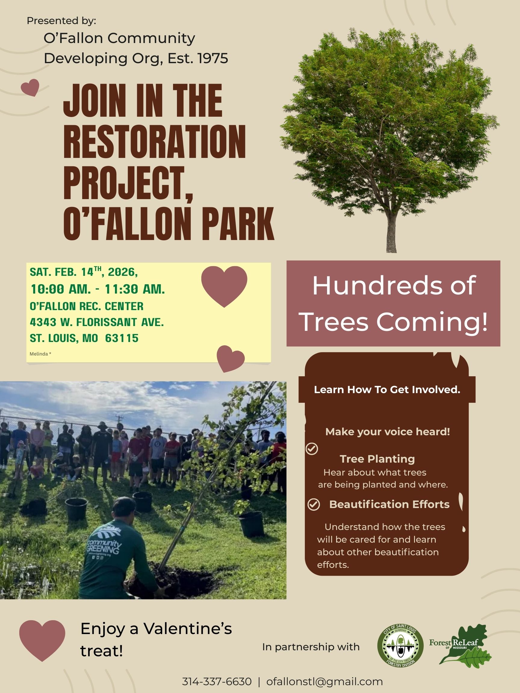 replanting trees in o'fallon park