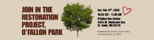 tree restoration