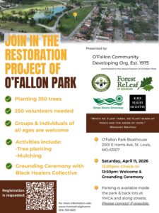planting trees